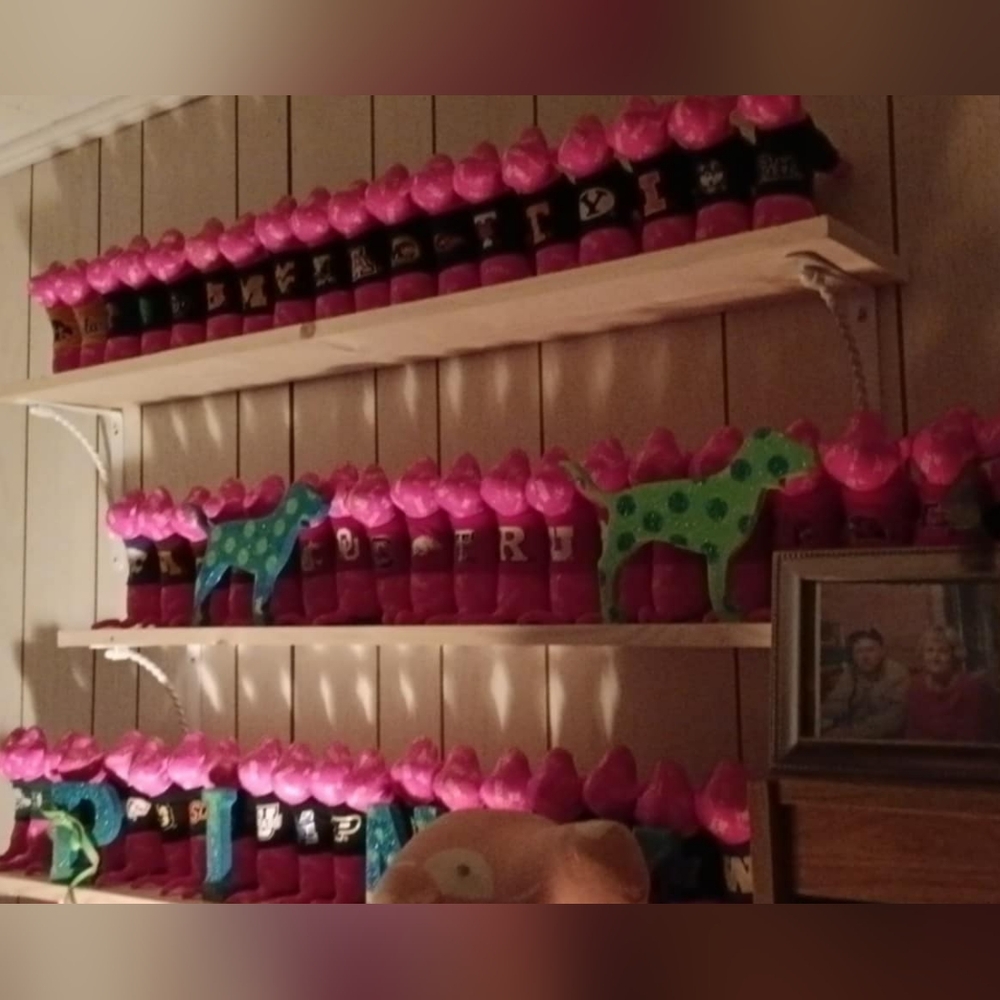NFS MY TINY PINK DOG COLLECTION